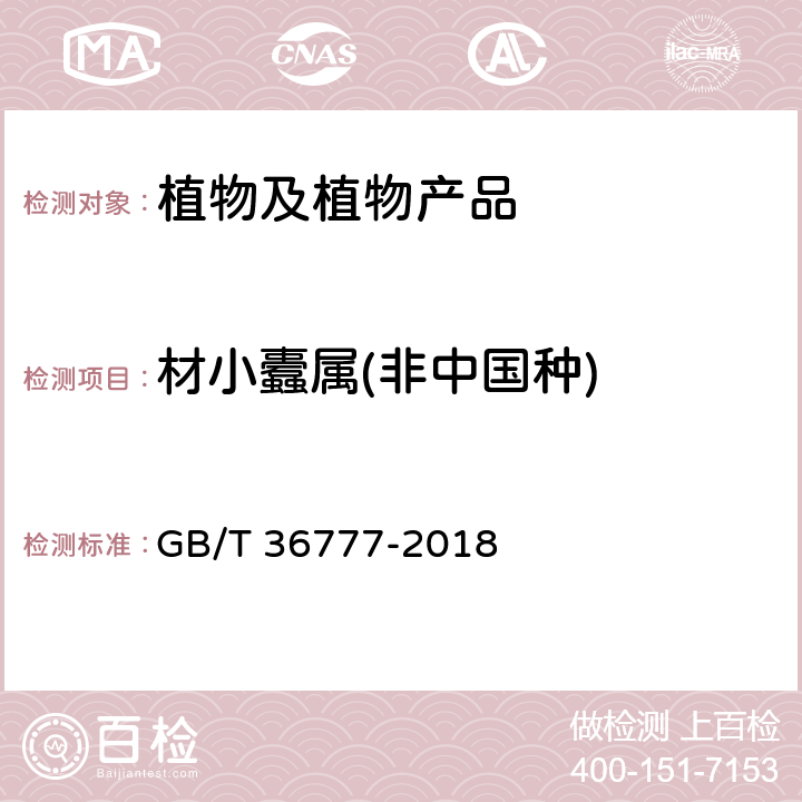 材小蠹属(非中国种) GB/T 36777-2018 材小蠹(非中国种)检疫鉴定方法
