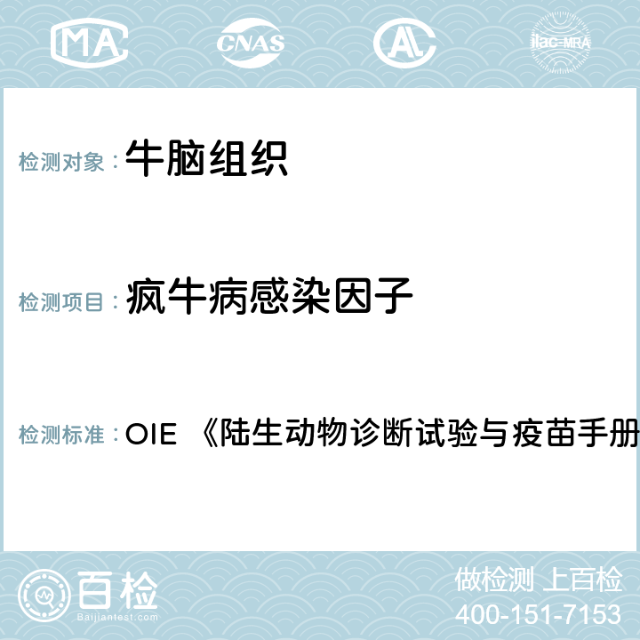 疯牛病感染因子 组织病理学检查 OIE 《陆生动物诊断试验与疫苗手册》（2018版） 3.4.5章