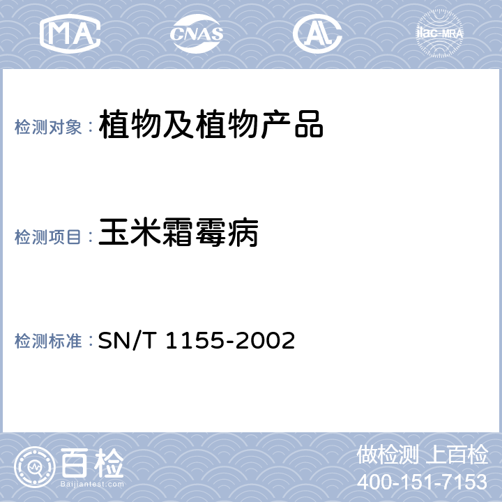 玉米霜霉病 植物检疫 玉米霜霉病菌检疫鉴定方法 SN/T 1155-2002 6.4、6.5.3
