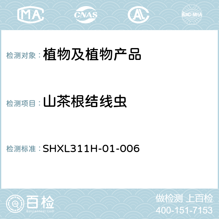 山茶根结线虫 SHXL311H-01-006 形态学鉴定方法 