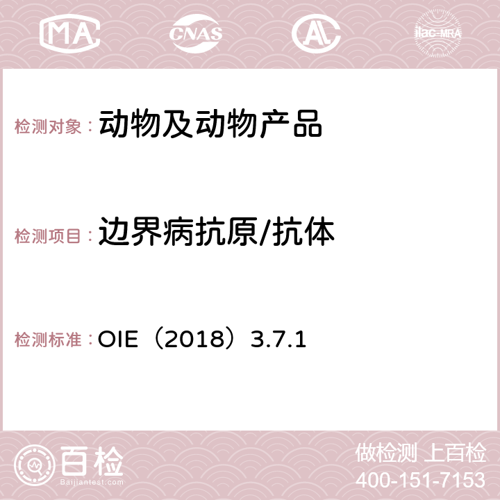 边界病抗原/抗体 边界病OIE陆生动物诊断试验与疫苗手册OIE（2018）3.7.1 OIE（2018）3.7.1