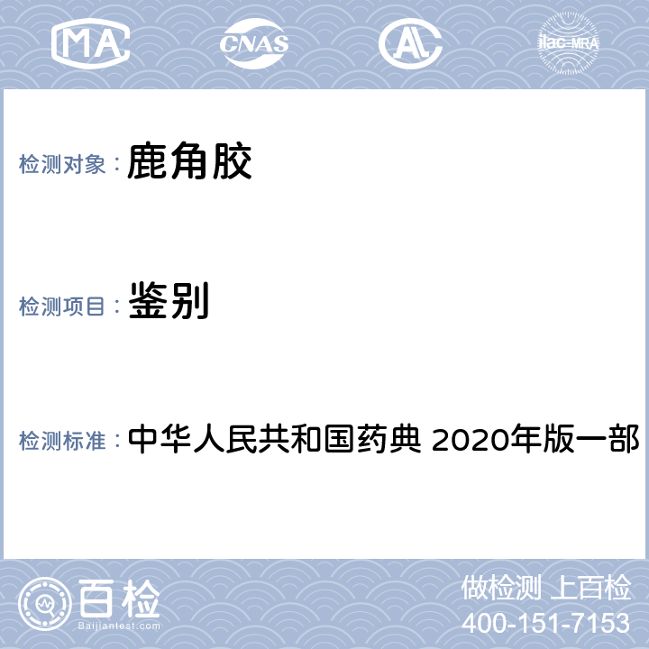 鉴别 鹿角胶 中华人民共和国药典 2020年版一部