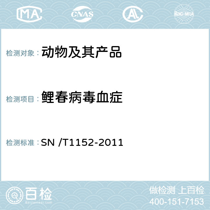 鲤春病毒血症 鲤春病毒血症 SN /T1152-2011