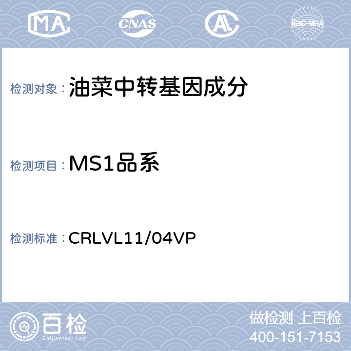 MS1品系 转基因油菜MS1品系特异性定量检测 实时荧光PCR方法 CRLVL11/04VP
