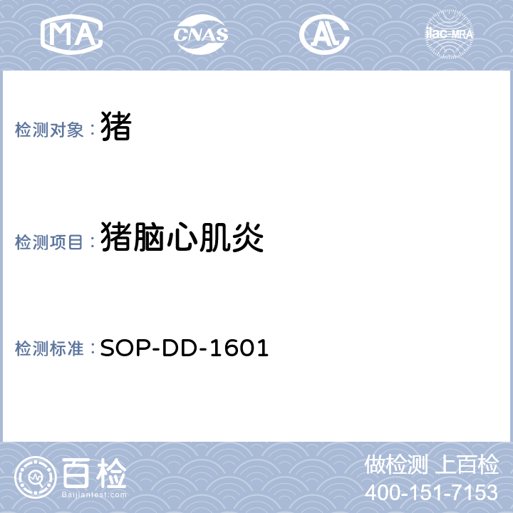 猪脑心肌炎 SOP-DD-1601 病毒荧光RT-PCR 检测方法 