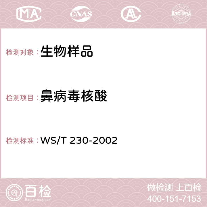 鼻病毒核酸 临床诊断中聚合酶链反应（PCR）技术的应用 WS/T 230-2002