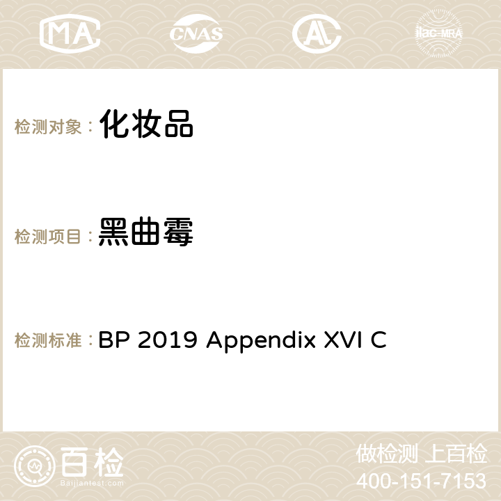 黑曲霉 BP 抗菌效果的检测 BP 2019 Appendix XVI C