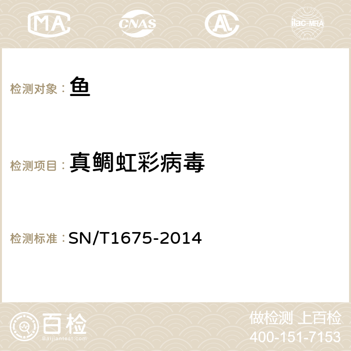 真鲷虹彩病毒 真鲷虹彩病毒病检疫技术规范 SN/T1675-2014 9,11