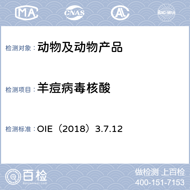 羊痘病毒核酸 羊痘OIE陆生动物诊断试验与疫苗手册 OIE（2018）3.7.12