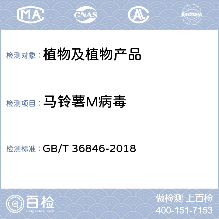 马铃薯M病毒 马铃薯M病毒检疫鉴定方法 GB/T 36846-2018