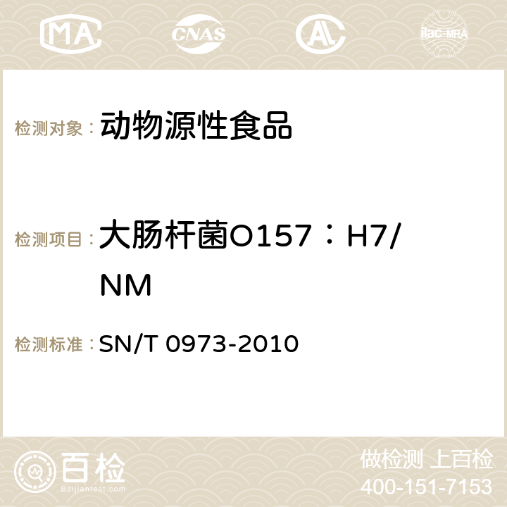 大肠杆菌O157：H7/NM 进出口肉、肉制品以及其他食品中肠出血性大肠杆菌O157：H7检测方法 SN/T 0973-2010