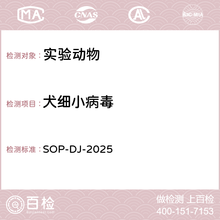 犬细小病毒 SOP-DJ-2025 检测方法 