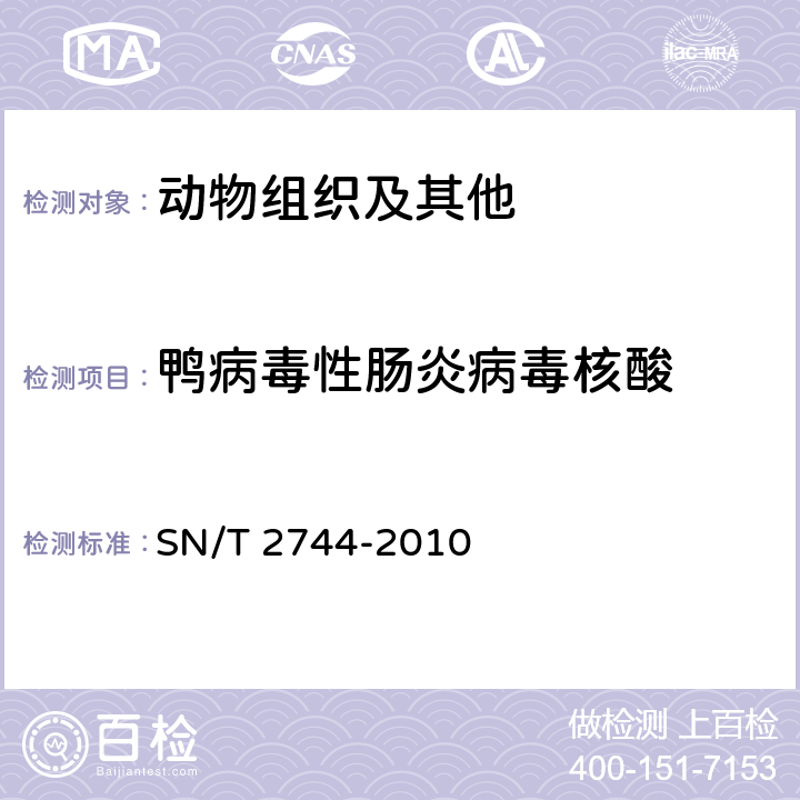 鸭病毒性肠炎病毒核酸 鸭病毒性肠炎检疫技术规范 SN/T 2744-2010