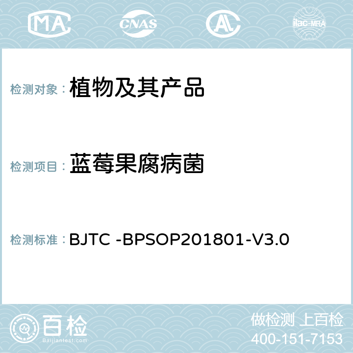 蓝莓果腐病菌 蓝莓果腐病菌检疫鉴定方法 BJTC -BPSOP201801-V3.0