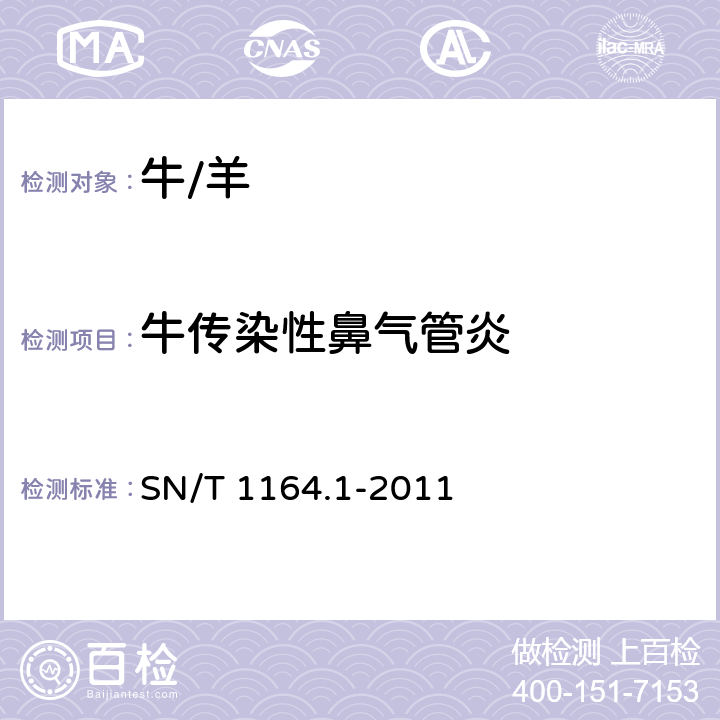 牛传染性鼻气管炎 牛传染性鼻气管炎检疫技术规范 SN/T 1164.1-2011