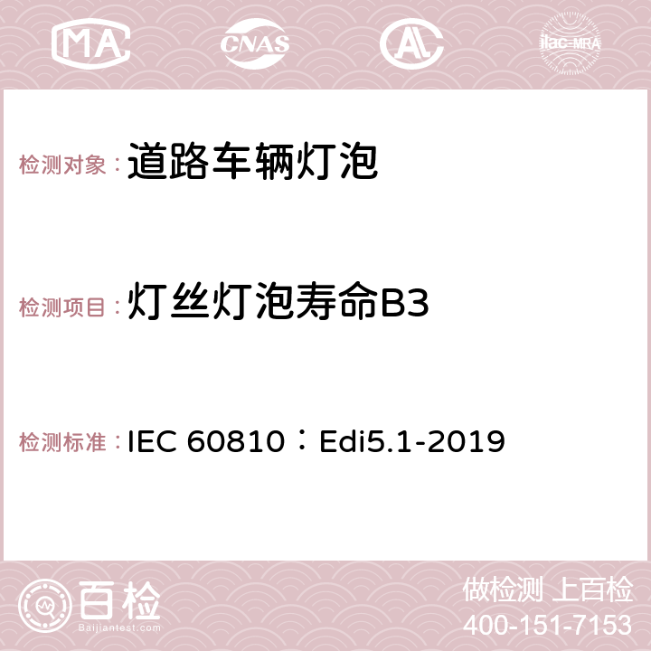 灯丝灯泡寿命B3 IEC 60810-2014+Amd 1-2017 道路车辆灯具 - 性能要求