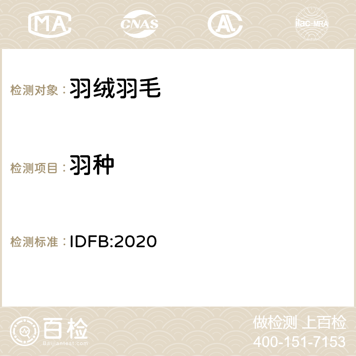 羽种 IDFB试验规则-羽种测试 IDFB:2020 Part 12