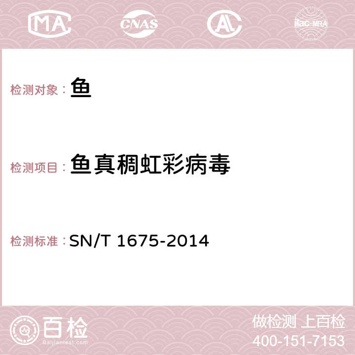 鱼真稠虹彩病毒 SN/T 1675-2014 真鲷虹彩病毒病检疫技术规范