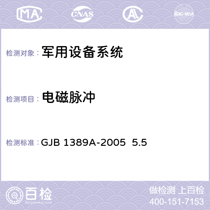 电磁脉冲 系统电磁兼容性要求GJB 1389A-2005 5.5