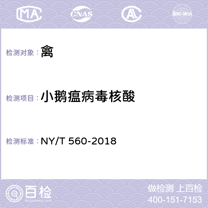 小鹅瘟病毒核酸  小鹅瘟诊断技术 NY/T 560-2018