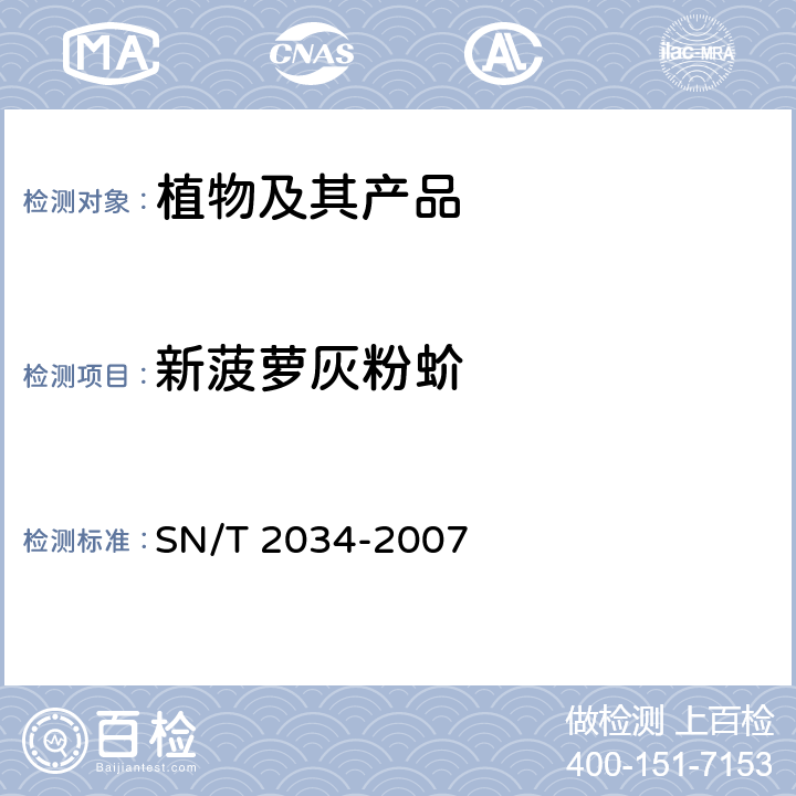 新菠萝灰粉蚧 香蕉灰粉蚧和新菠萝灰粉蚧检疫鉴定方法 SN/T 2034-2007