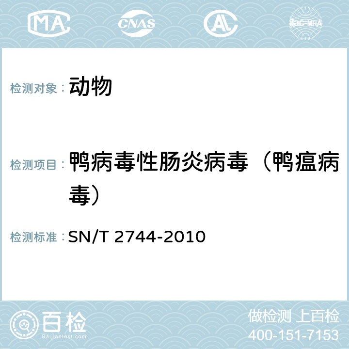 鸭病毒性肠炎病毒（鸭瘟病毒） 鸭病毒性肠炎检疫技术规范 SN/T 2744-2010 4.2~4.4