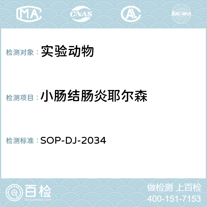 小肠结肠炎耶尔森 耶尔森菌检测方法 SOP-DJ-2034