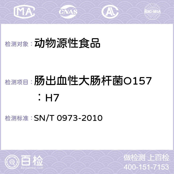 肠出血性大肠杆菌O157：H7 进出口肉、肉制品及其他食品中肠出血性大肠杆菌O157:H7检验方法 SN/T 0973-2010