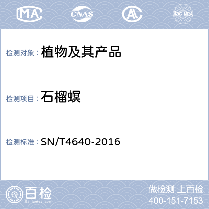 石榴螟 SN/T 4640-2016 石榴螟检疫鉴定方法