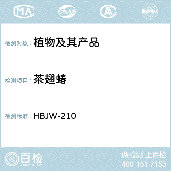 茶翅蝽 茶翅蝽检疫鉴定方法 HBJW-210