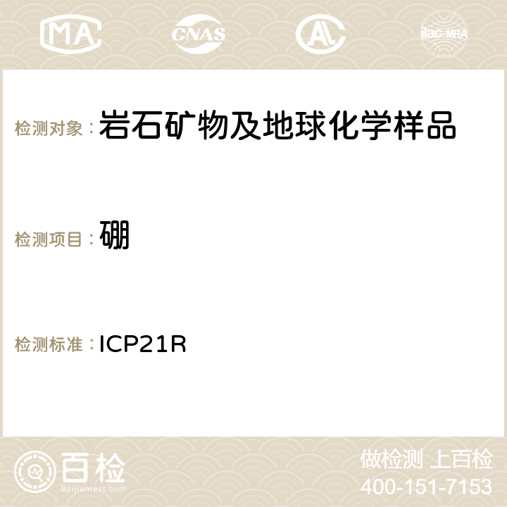 硼 ICP 21R ICP检测多元素Me-ICP21R/ Ver.3.1/27.06.05 ICP21R
