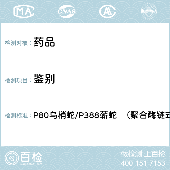 鉴别 中国药典2020年版一部 P80乌梢蛇/P388蕲蛇 （聚合酶链式反应法）