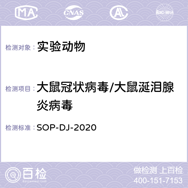 大鼠冠状病毒/大鼠涎泪腺炎病毒 SOP-DJ-2020 检测方法 