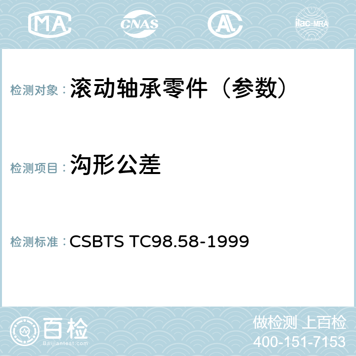 沟形公差 深沟和角接触球轴承 套圈沟形公差 CSBTS TC98.58-1999