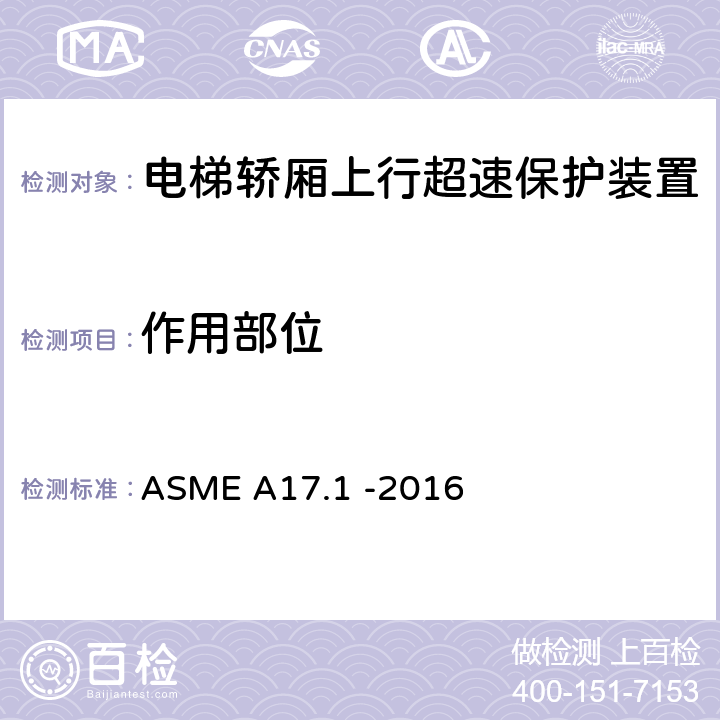 作用部位 电梯和自动扶梯安全规范 ASME A17.1 -2016 2.19.1.1
