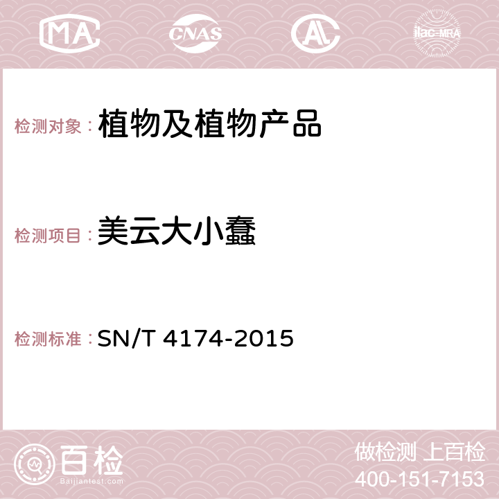 美云大小蠢 美云大小蠹检疫鉴定方法 SN/T 4174-2015