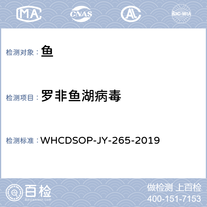 罗非鱼湖病毒 WHCDSOP-JY-265-2019 检测方法 