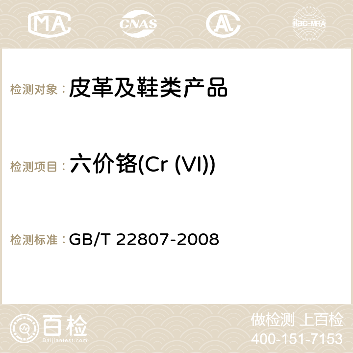 六价铬(Cr (VI)) 皮革和毛皮 化学试验 六价铬含量的测定 GB/T 22807-2008