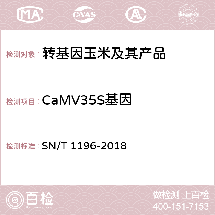 CaMV35S基因 转基因成分检测 玉米检测方法 SN/T 1196-2018