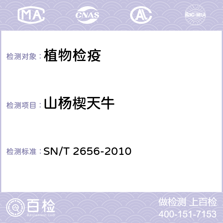 山杨楔天牛 楔天牛属检疫鉴定方法 SN/T 2656-2010