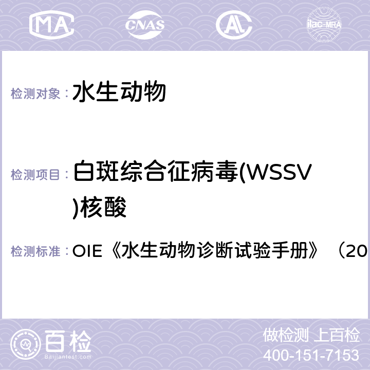 白斑综合征病毒(WSSV)核酸 白斑病 OIE《水生动物诊断试验手册》（2019） 2.2.8