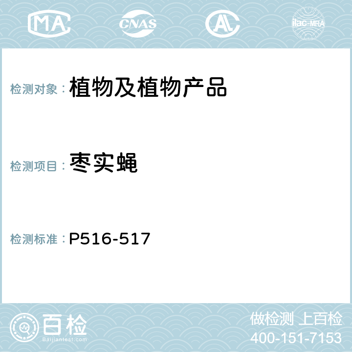 枣实蝇 中国进境植物检疫性有害生物（昆虫卷） P516-517
