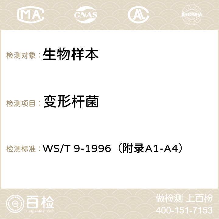 变形杆菌 变形杆菌食物中毒诊断标准及处理原则 WS/T 9-1996（附录A1-A4）