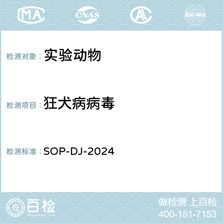 狂犬病病毒 狂犬病病毒检测方法 SOP-DJ-2024