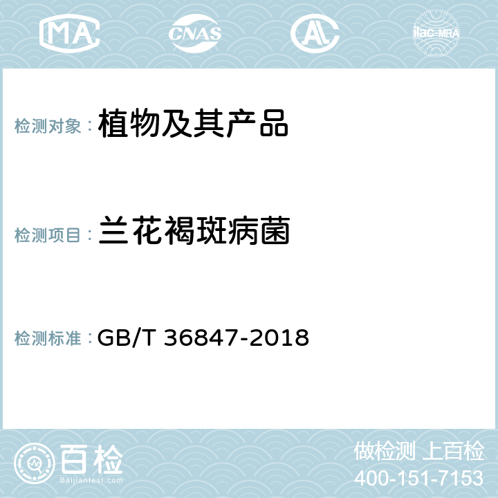 兰花褐斑病菌 兰花褐斑病菌检疫鉴定 GB/T 36847-2018