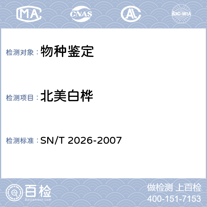 北美白桦 进境世界主要用材树种鉴定标准 SN/T 2026-2007