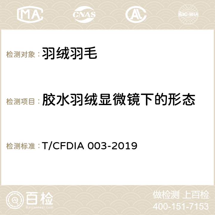 胶水羽绒显微镜下的形态 胶水羽绒评估方法 T/CFDIA 003-2019 6.3