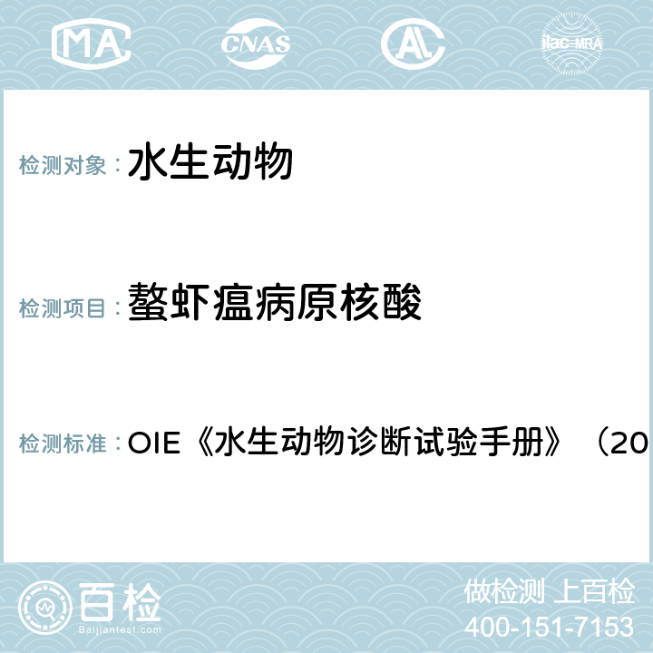 螯虾瘟病原核酸 丝囊霉菌感染（螯虾瘟） OIE《水生动物诊断试验手册》（2019） 2.2.2