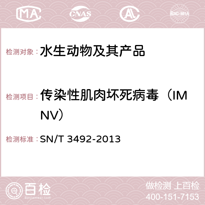 传染性肌肉坏死病毒（IMNV） 传染性肌肉坏死检疫技术规范 SN/T 3492-2013
