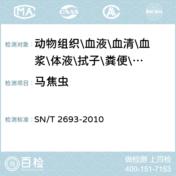 马焦虫 马焦虫病检疫规范 SN/T 2693-2010